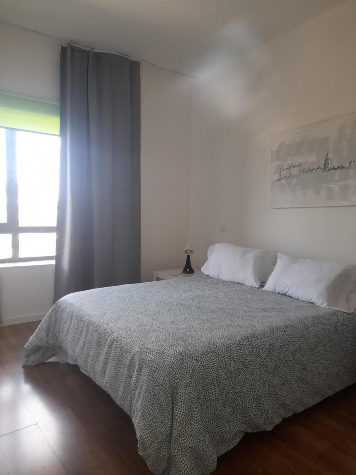 Toletum Low Cost Lofts Diafanos O 2Dormitorios Parking Municipal Gratis Al Aire Libre A 100M Toledo Eksteriør billede